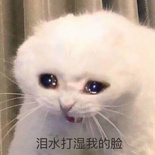 这是朕的天下了表情包半仙