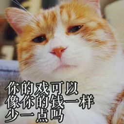 高冷猫猫表情包