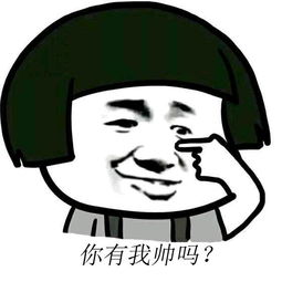 高质量表情包,停,停你这样的破图我没法接