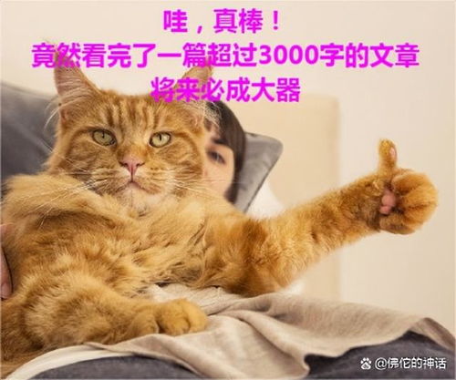 简单表情包图片猫叫