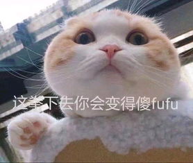 有哪些行为让你对大学室友感到心寒