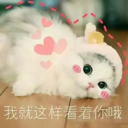 教师节最动听的话,说给老师听