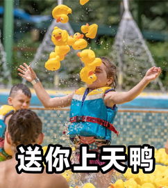 小黄鸭的独家摄魂大法