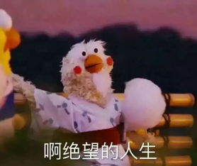 cp发糖表情包玉桂狗