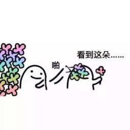 花花收下表情包
