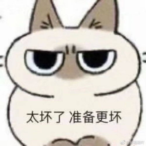 有没有颜值优秀的示范开车的老师