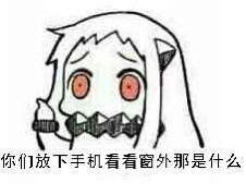 网络真人表情包稻姬