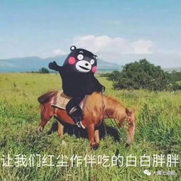 又有一部剧来报复社会了看完保准你今晚睡不着,剧组的钱都花在买菜上了