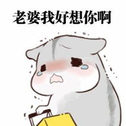 情侣聊天最实用小仓鼠表情包