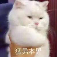 沙雕表情小老弟你有点皮