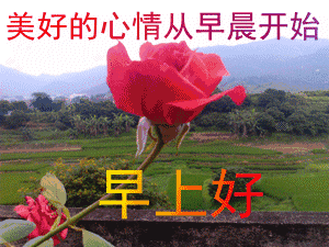 非常漂亮春暖花开早安动态表情图片早上好发朋友圈祝福大全