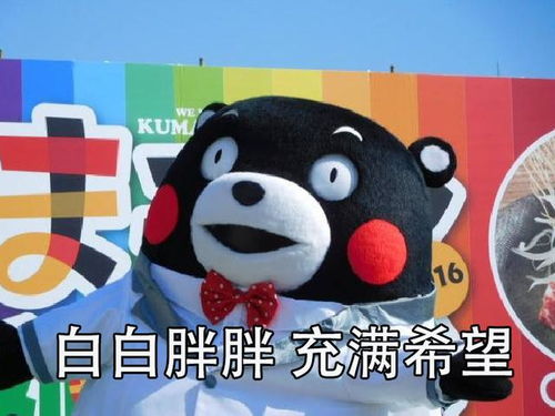 熊本熊叠词情包合集白白胖胖,充满希望