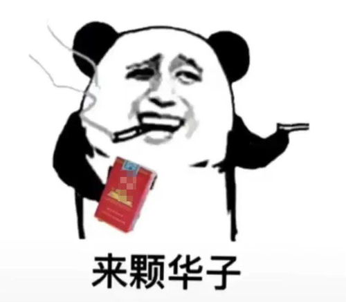 好大哥又安排几个大项目