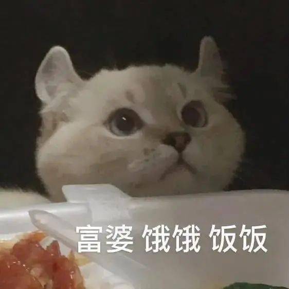 微信聊天必备表情包大全