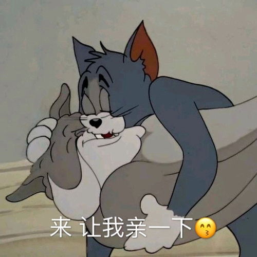 猫和老鼠经典表情包