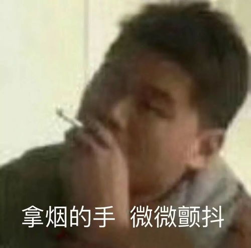 我们不一样,斗图表情包妈蛋表情网