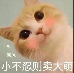 农工商2019女生最受欢迎身高表