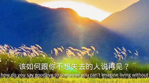 今日文案我最大的遗憾是你的遗憾与我有关,人总是在不知所措的年纪遇见最好的人,我还是很喜欢你,可是只能到这里了