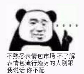 有钱没钱回家过年图片大包小包回家过年的表情包下载乐游网游戏下载
