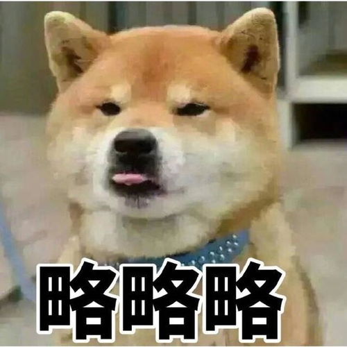 略略略表情包略略略动态表情包
