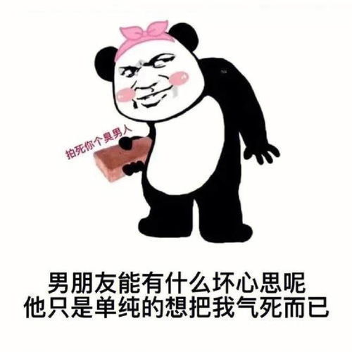 笑话十条我开五菱宏光5年了,泡过的好女生记不太清了