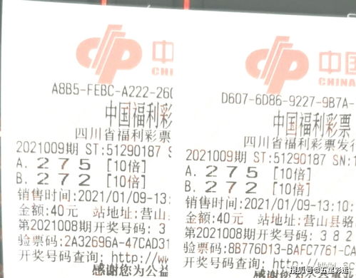 福彩3d组3复试规则