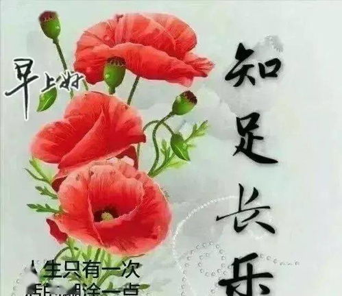 早安表情包微信温馨的早安短信问候祝福语大全,2020好看的早安祝福图片