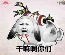 七秀门派跟宠表情包