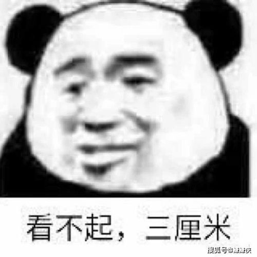 微信表情包图片聊天斗图你怕了吗