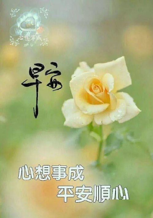 清晨问候早上好的微信表情图片大家早上好表情图片