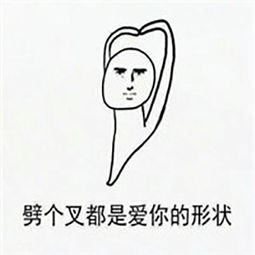 男朋友的正确打开方式表情包图片图片