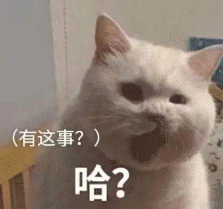 的表情包可爱沙雕