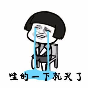 哇的一声就哭了表情包微信哇的一下哭出声表情包图片