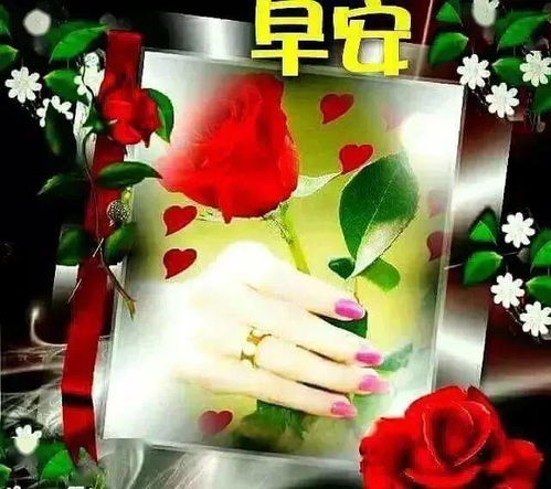 中老年人表情包没有预兆,我已经把祝福送到