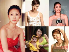 金喜善李小璐郑爽萧蔷炎亚纶男神女神脸僵嘴歪眼斜粉丝看到还能好吗