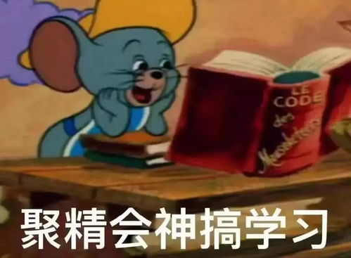 小学16年级,融入新学期最全攻略来了