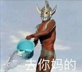 在武昌理工学院就读,是一种什么体验