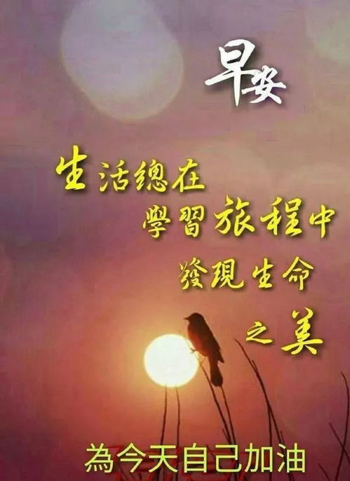 早上好最美动态表情包祝福语