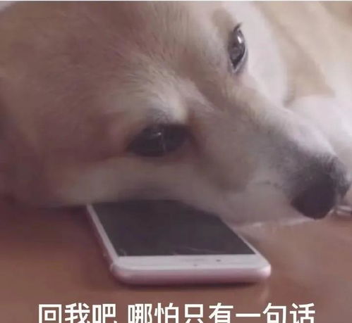 相亲男人从热情到不主动,再到时候彻底消失,他们到底经历了什么