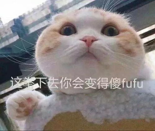 刷爆朋友圈平湖有人在街头高调求婚,场面太