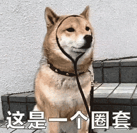 表情沙雕表情包2020.11.22
