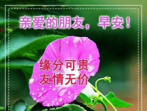 最美的早上好问候语图片表情送您,早晨好祝福语图文大全