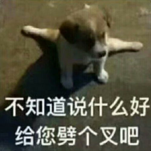 最新表情包拿图片超级无敌,理直气壮