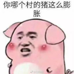 都这么膨胀了地铁站惊现野猪,一路小跑......
