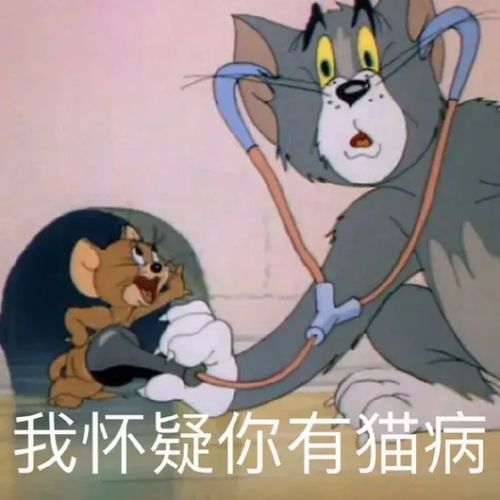 5.22热门表情包