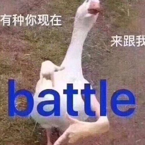 让人觉得你很有意思的文案