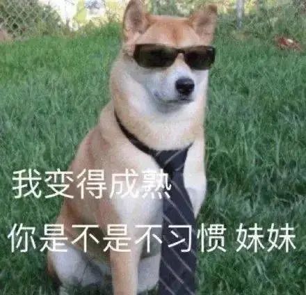 表情包温馨提示