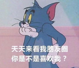qq聊天专用表情包,撩到她荷尔蒙爆发,我也好想找对象