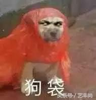当交响乐演砸了是什么体验