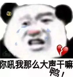 抖音热图表情包假如我追你,成功率多少